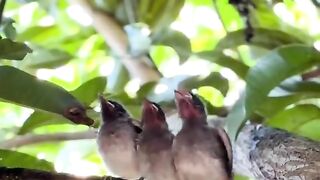 This Scene Will Make Your Day ????