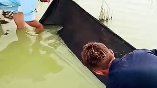 Ikan yang begitu banyak