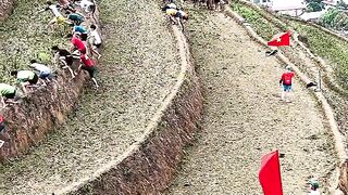 Boys racing