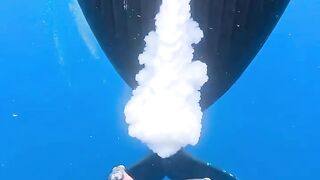 A mother humpback whale feeding her baby — one of the rarest moments  captured underwater ????????