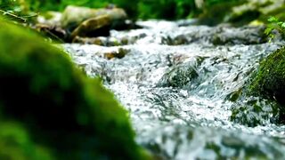 Nature 299