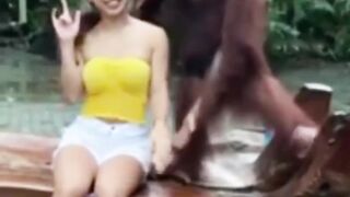 Animals Being Silly Compilation Try Not to Laugh