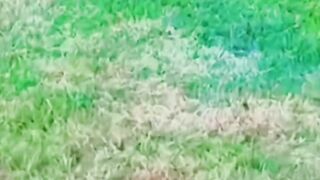 cute animal moments