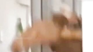 Ultimate Funny Pets 2025 ????????  Animals Doing the Craziest Fails Ever!