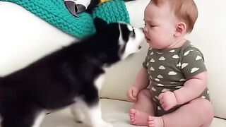 Parrot said: “That’s ENOUGH, Pappy!
