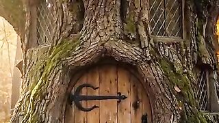 A Hidden Cabin You’ll Never Forget