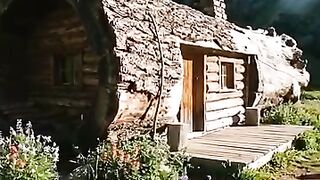 Tiny Cabin, Big Energy