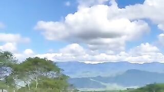 The plantation field is seen