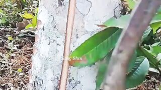 Bukak lembaran baru