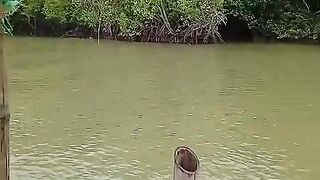 Angler
