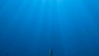 Out of the darkness… straight into your fear.