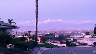 Views 13