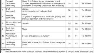 Govt. Punjab Jobs