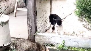 Terima kasih untuk segala hal sekarang aku pergi..