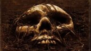 The Burrowers