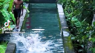 Beautiful Place 19