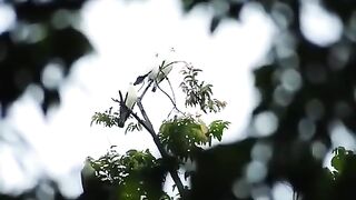...hari-hari kita lalui bersama penuh cinta kasih...