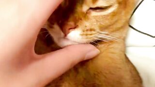 Don't disturb me 2