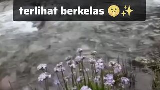 tak perlu berisik