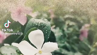 Deep Words 11
