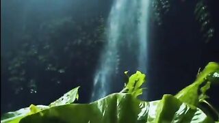 Relaxing Nature Scenery ???? Peaceful Views to Calm Your Mind