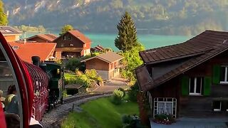 Swiss woww