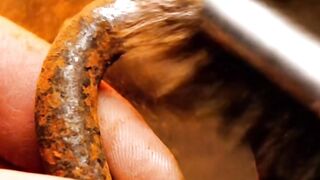 Restoration of Rusty Small Shackles