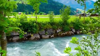 SWISS NATURE???????????????? _swiss