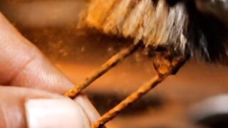 Repairing a Small Rusty Safety Pin