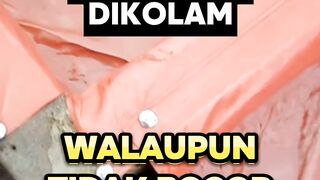 Walaupun kolam tidak BOCOR LAKBAN ajaib ini wajib ada dikolam