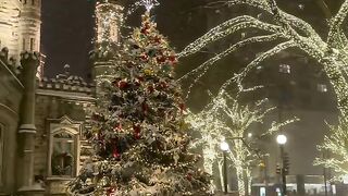 Travel With Me - In Chicago you can enjoy all the weather
