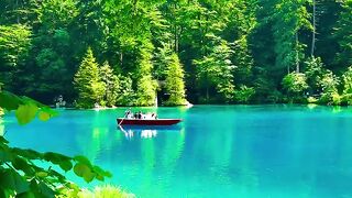 syifa_in_switzerland SWISS NATURE VIEW