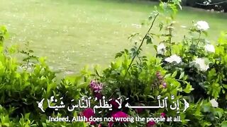 Quran paak Tilawat | very heart touching voice