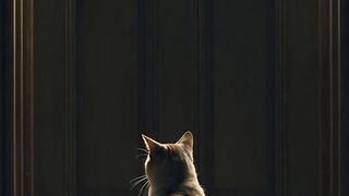 Waiting for Owner”