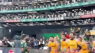 Winning movements of peshawar zalmi PSL 11 great win
