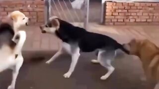 OMG ???? 7