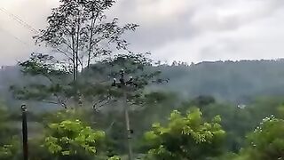 Lama ga lewat jalan ini