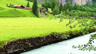 Swiss 4