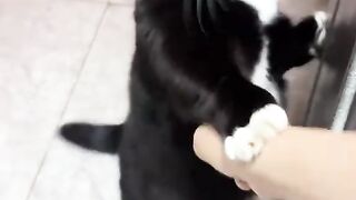 You Angry but its so Funny