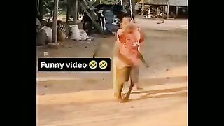 Funny videos 993