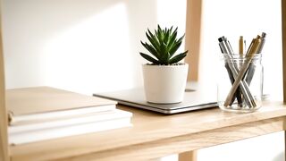 Minimalist Workspace with Potted Succulent and Books on Wooden Shelf