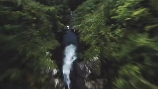 The forest of silence
