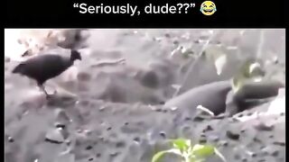funny moment 130