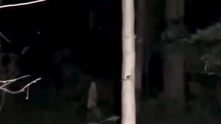 Ada yang pernah di ikutin kaya gini?
