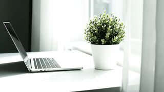 Minimalist Bright Workspace with Laptop and Potted Plant