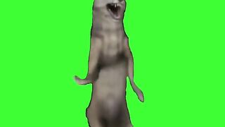 Wolf dancing meme
