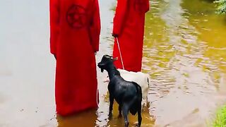 REAL ILLUMINATI AGENT UGANDA KAMPALA CALL ON +256761851931,0701750076 17