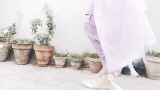 Punjab di kurii