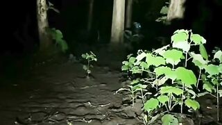 penampakkan si putih di hutan
