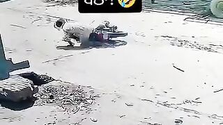 Funny videos 995